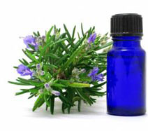 anti infection anti infection